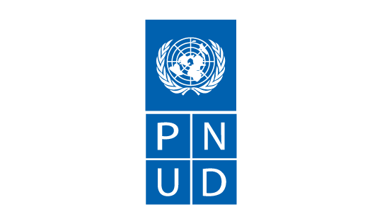 Logo PNUD